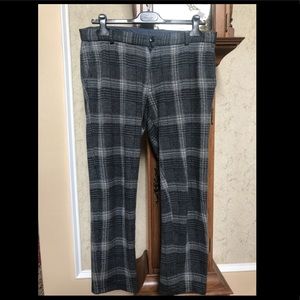 Scotch and Soda Patterned Mott Pant